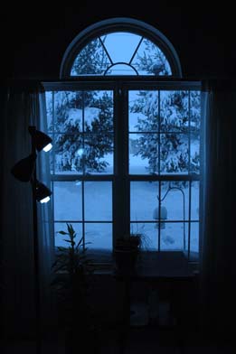 window